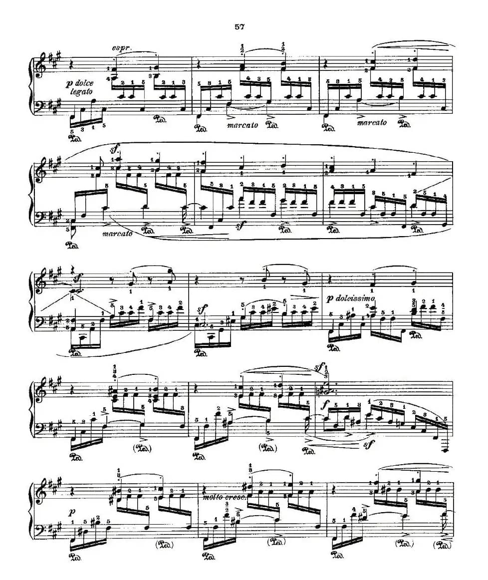 肖邦《练习曲》Fr.Chopin Op.10 No9-3