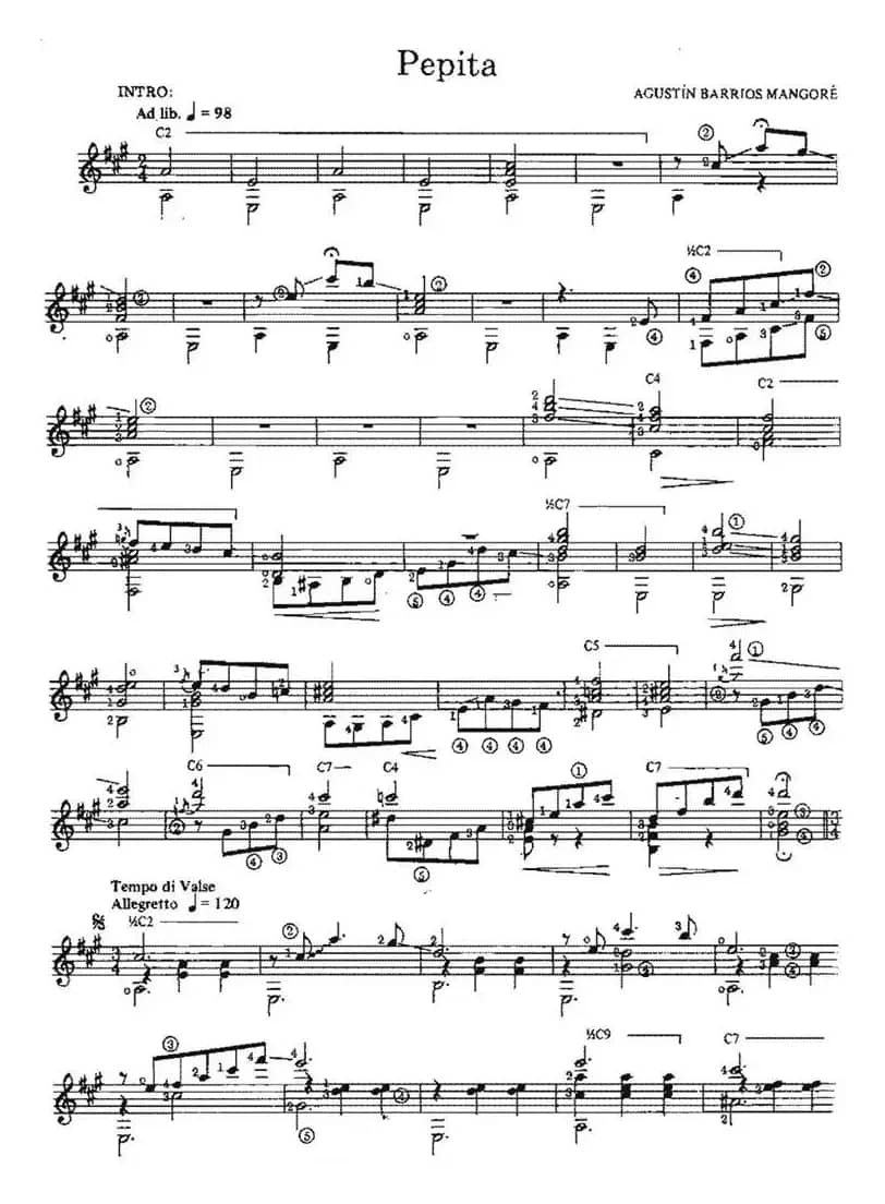 Pepita（古典吉他）