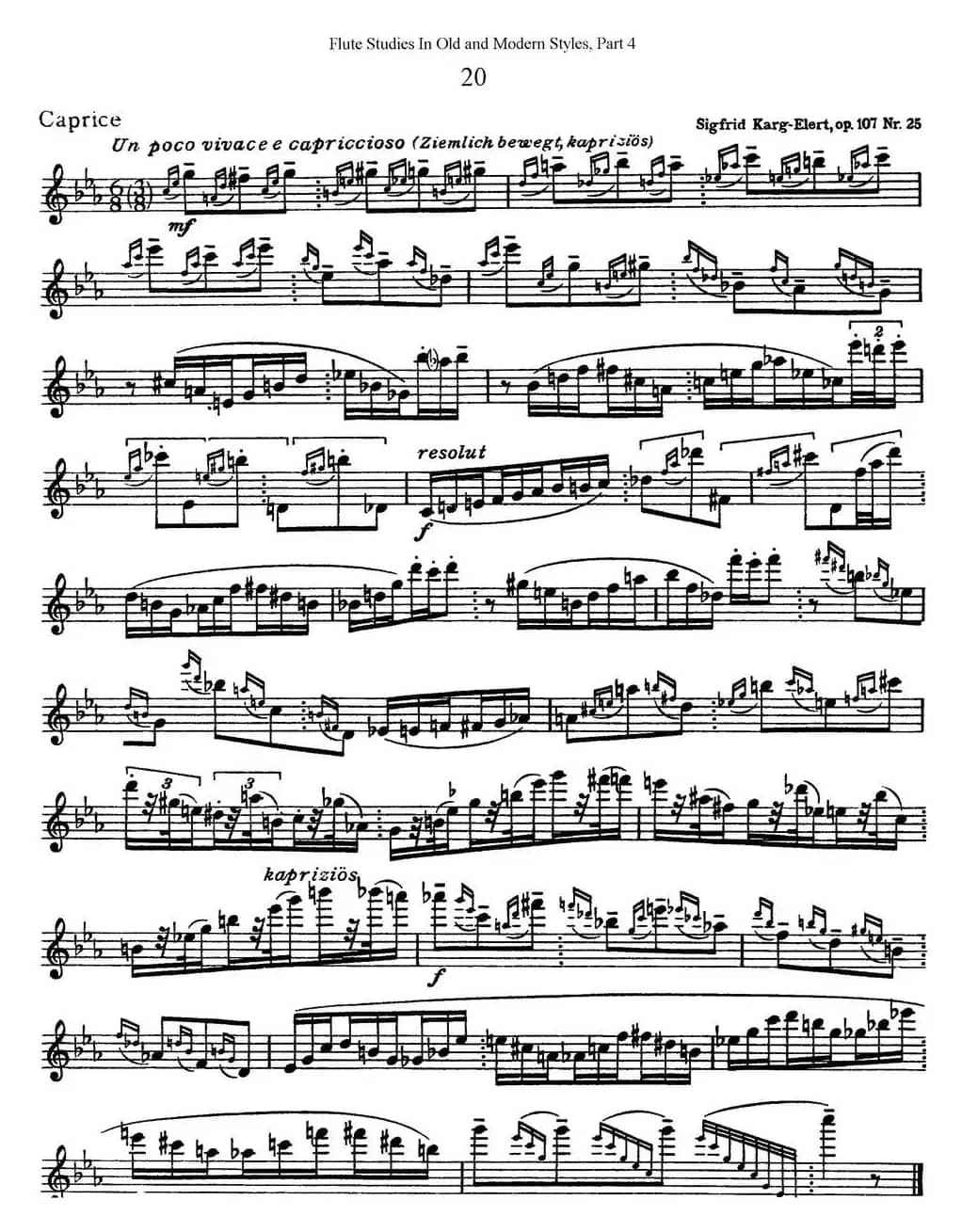 斯勒新老风格长笛练习重奏曲（第四部分）（NO.20）