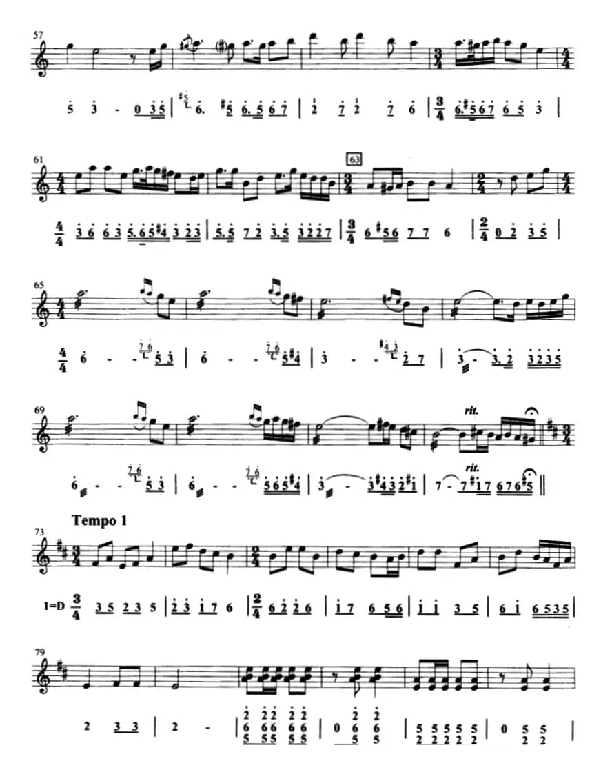 金蛇狂舞（选段）（口风琴、线简谱混排版）