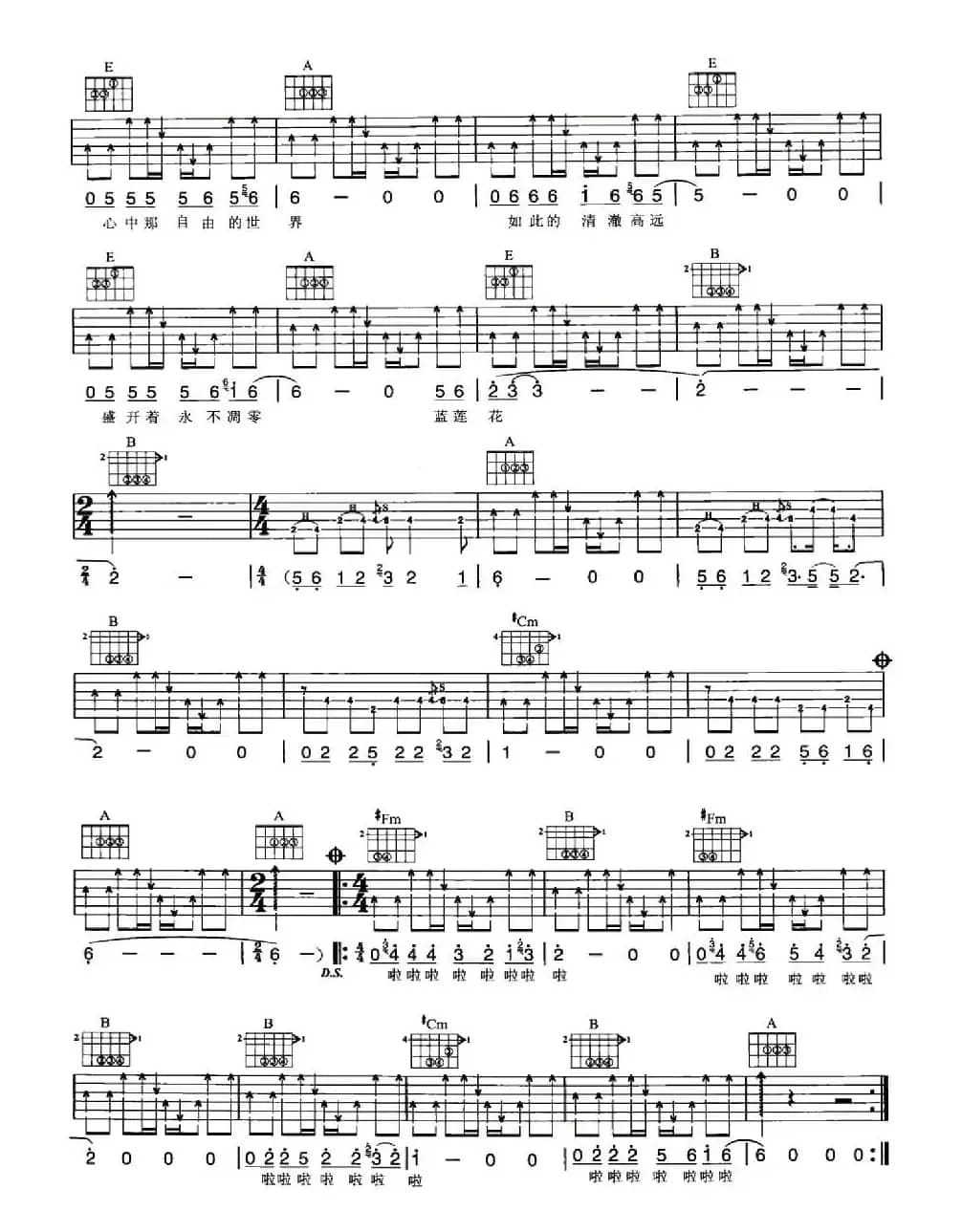 蓝莲花（5个版本）