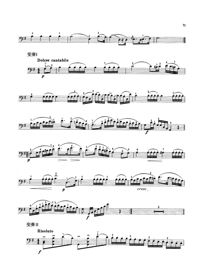 贝利尼主题与变奏 （大提琴）