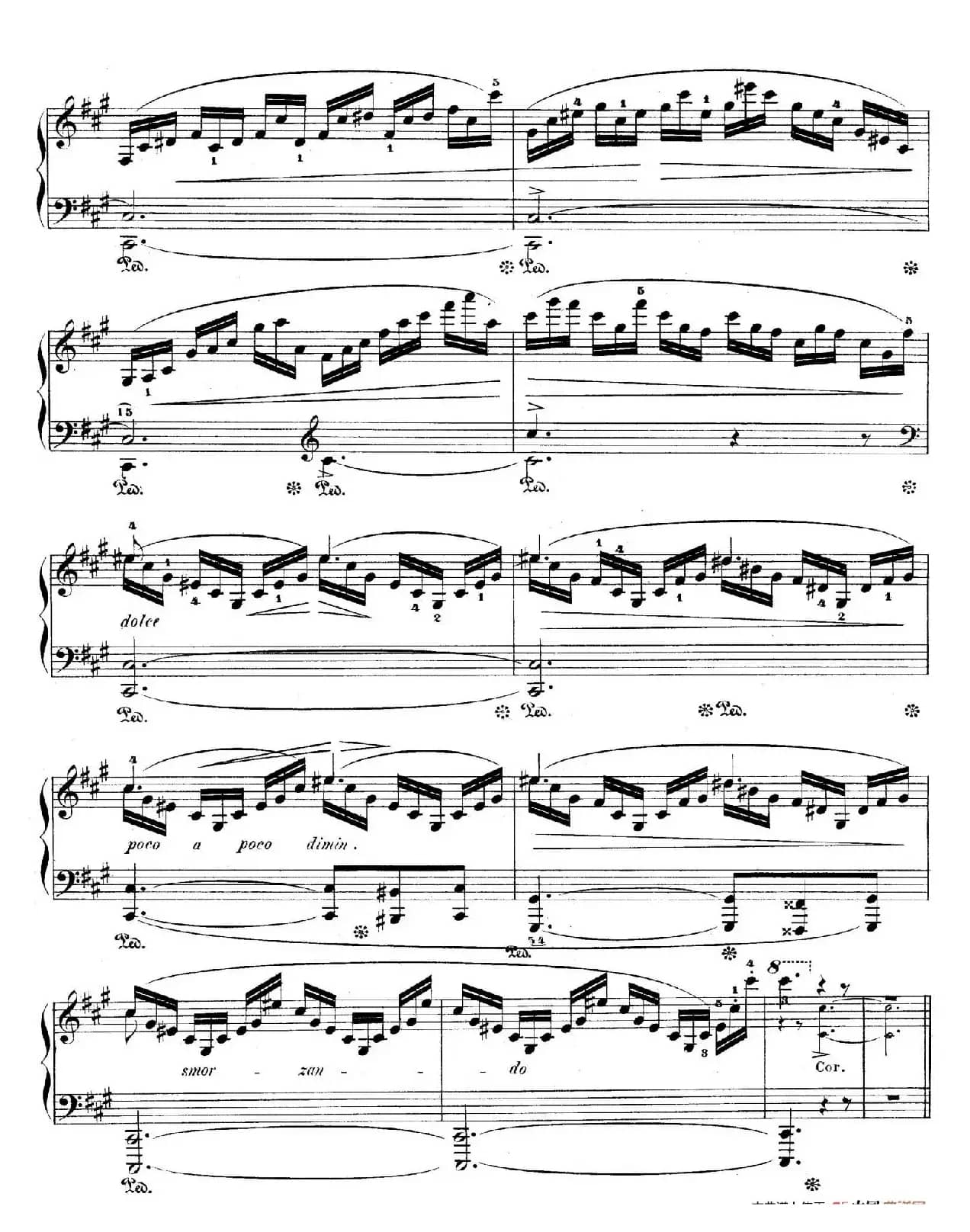 Grand Fantasy on Polish Airs Op.13（华丽的波兰民歌幻想曲·钢琴独奏版）