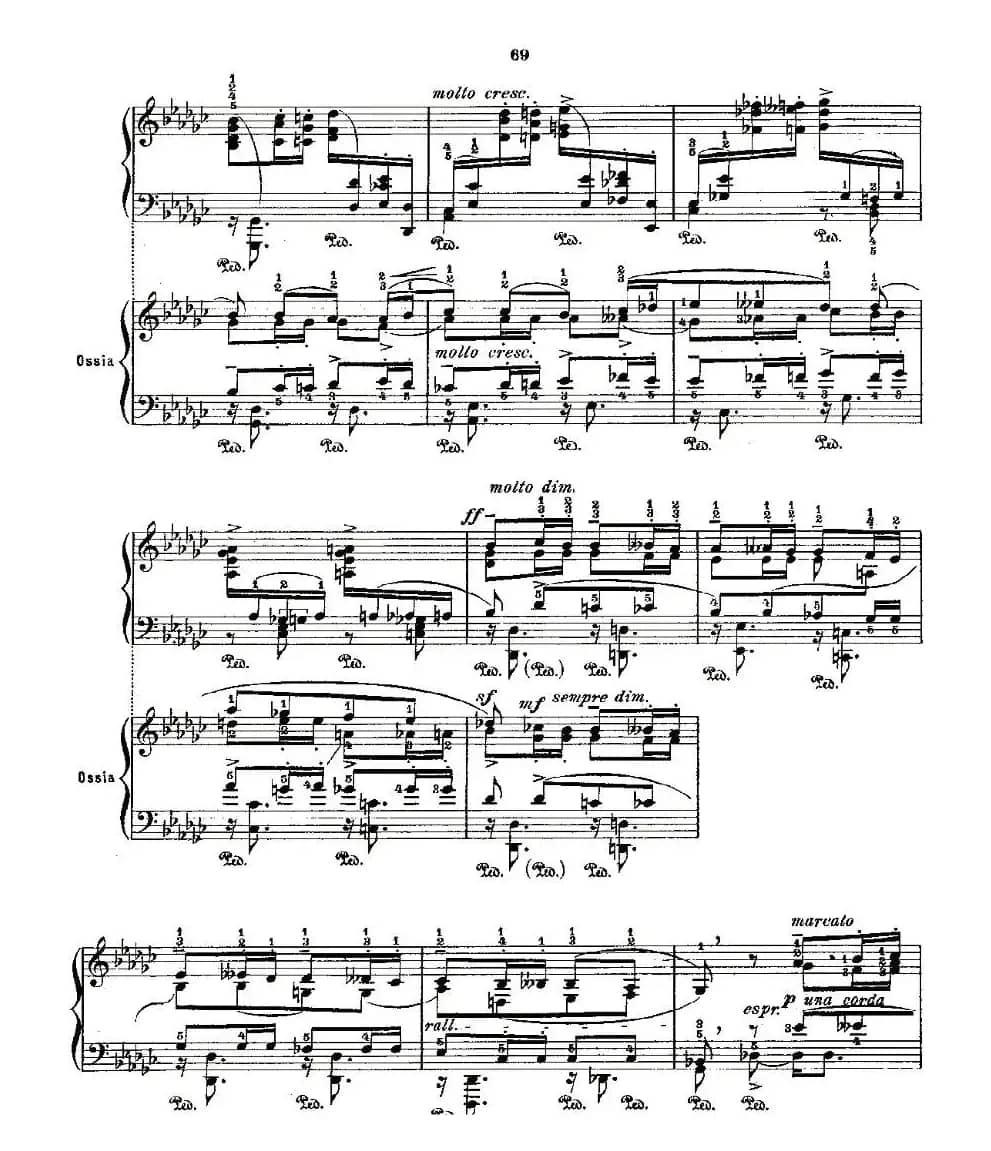 肖邦《练习曲》Fr.Chopin Op.25 No9-2