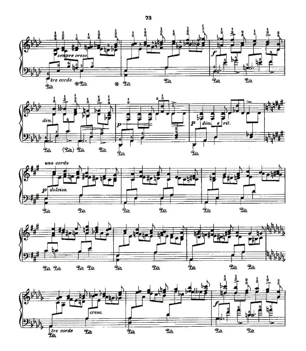 肖邦《练习曲》Fr.Chopin Op.10 No10-2