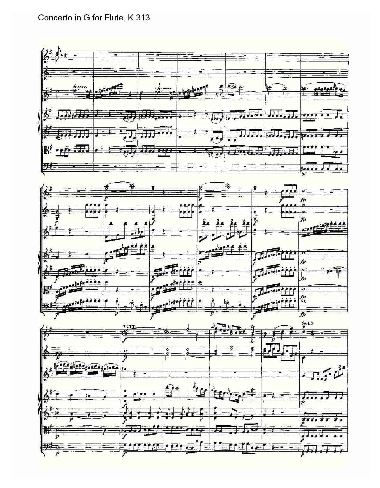Concerto in G for Flute, K.313（G调长笛协奏曲, K.313）