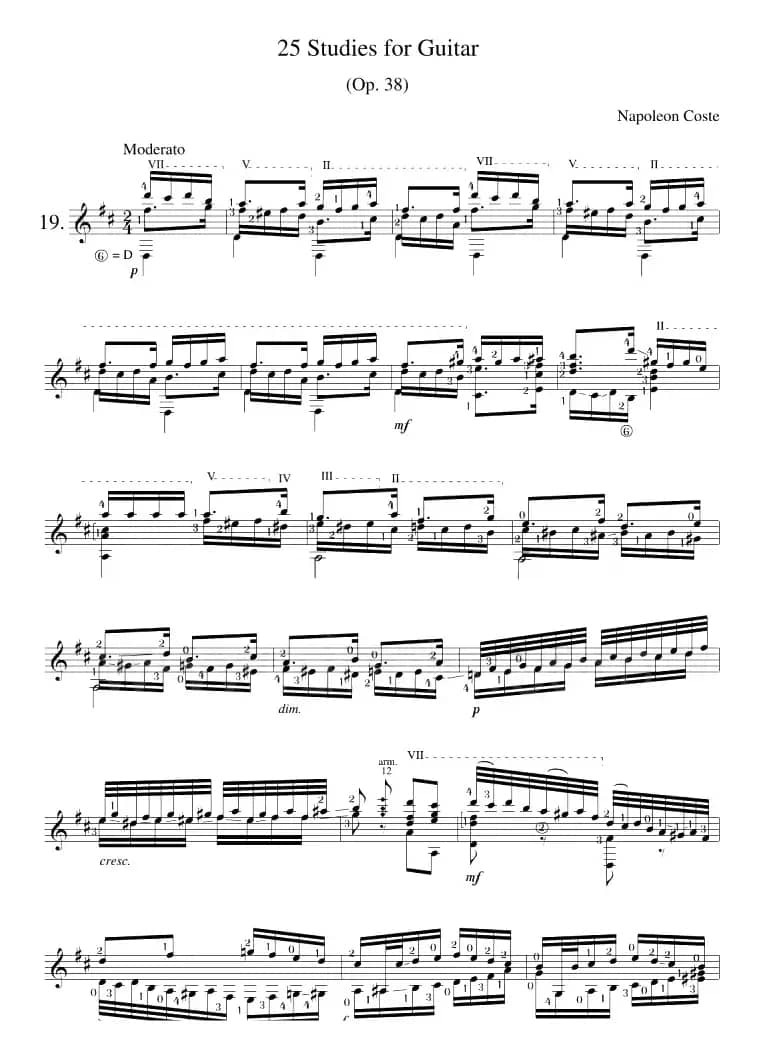 Napoleon Coste《25 Studies,Op.38》（STUDY 19）