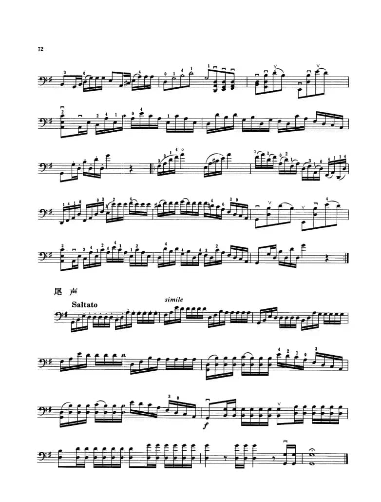 贝利尼主题与变奏 （大提琴）