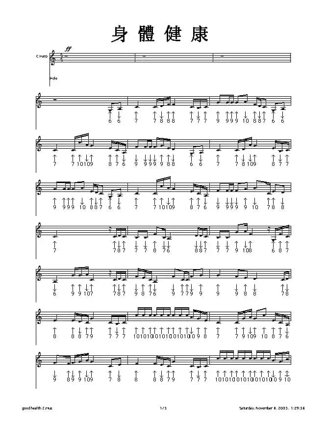 身体健康（布鲁斯）