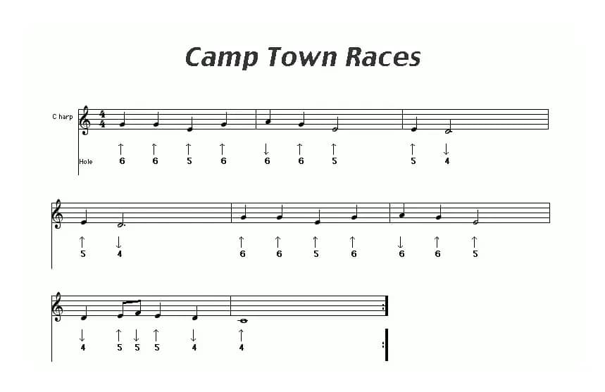 Camp  Town  Races（布鲁斯）