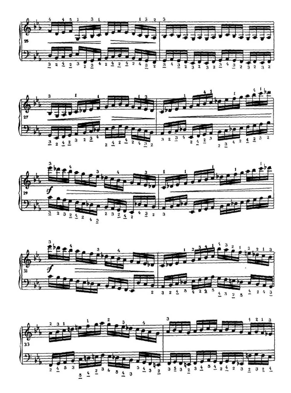 手风琴练习曲（3）