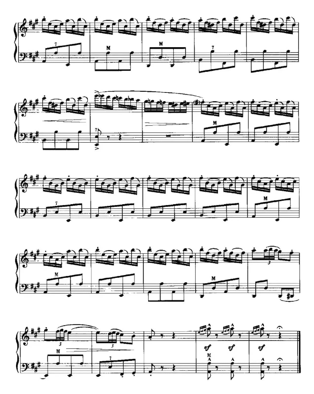 快乐的西班牙骑士