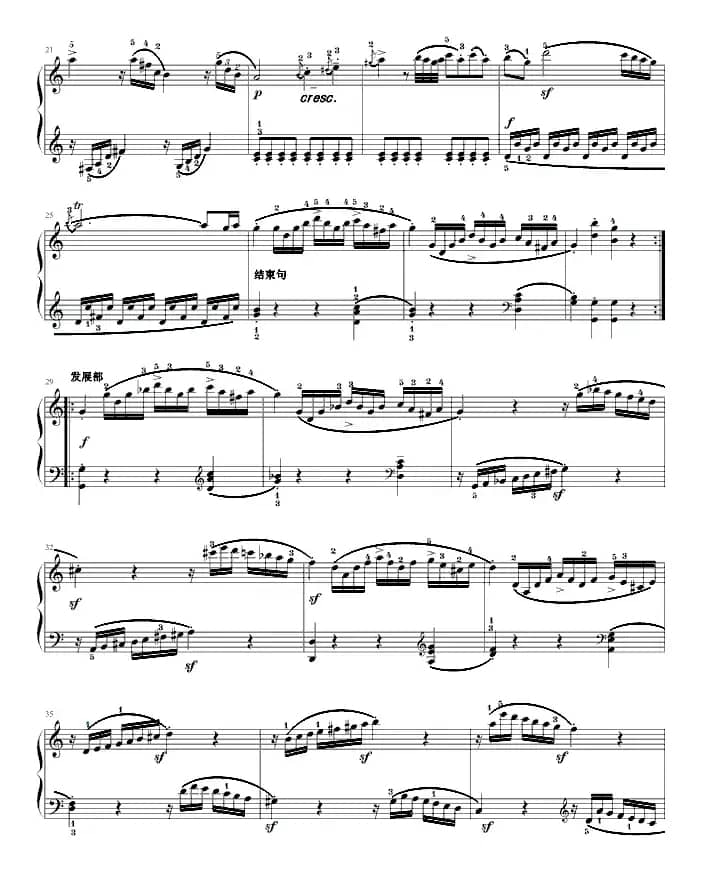 奏鸣曲（莫扎特C大调K.545-完整版）（寒风制谱版）