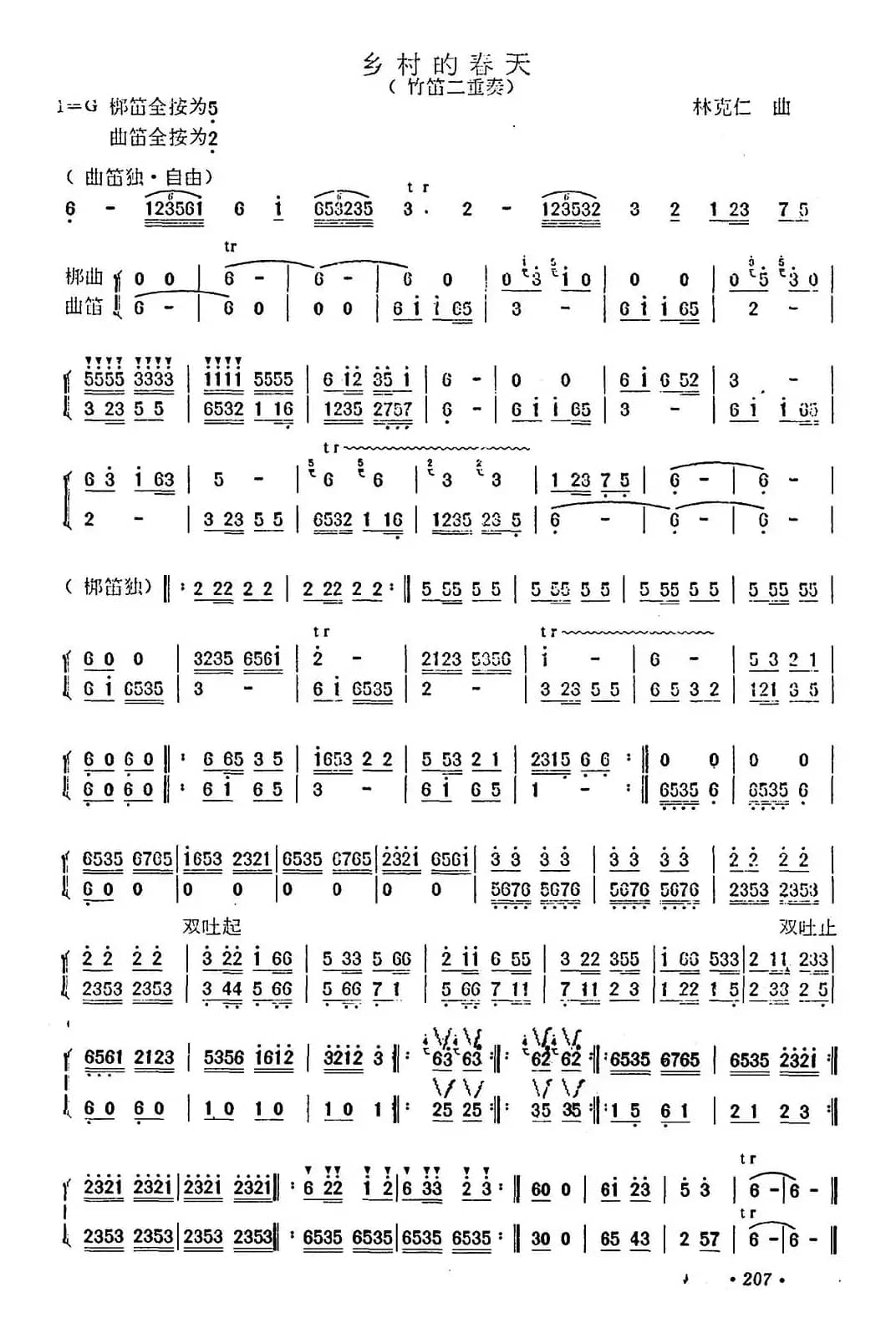 乡村的春天（竹笛二重奏）