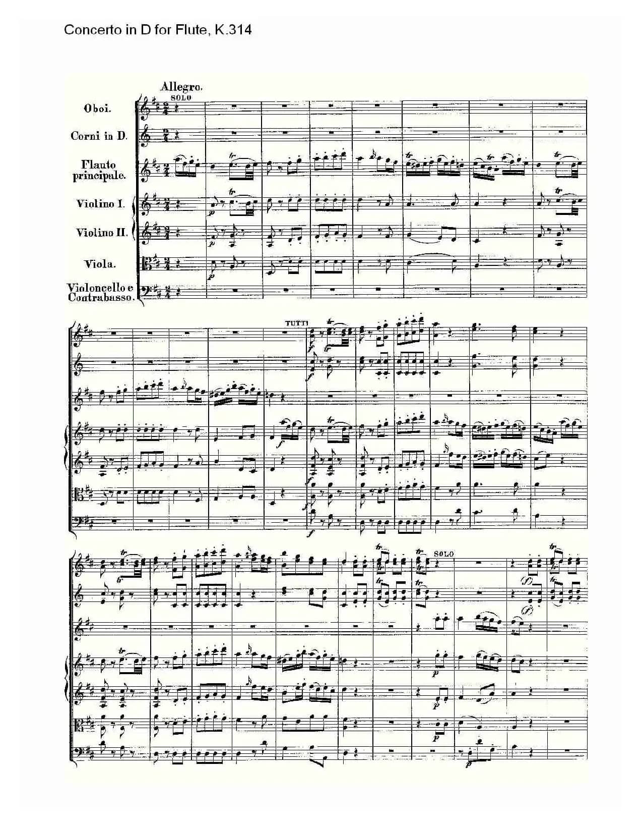 Concerto in D for Flute, K.314（D调长笛协奏曲, K.314）