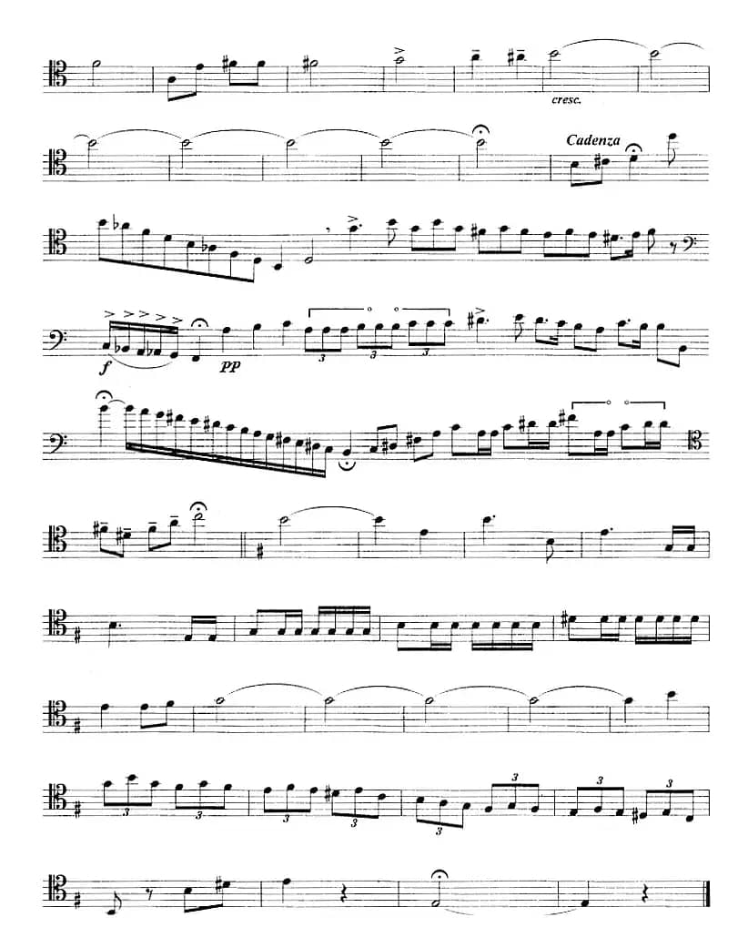 帕米尔在欢唱（长号）