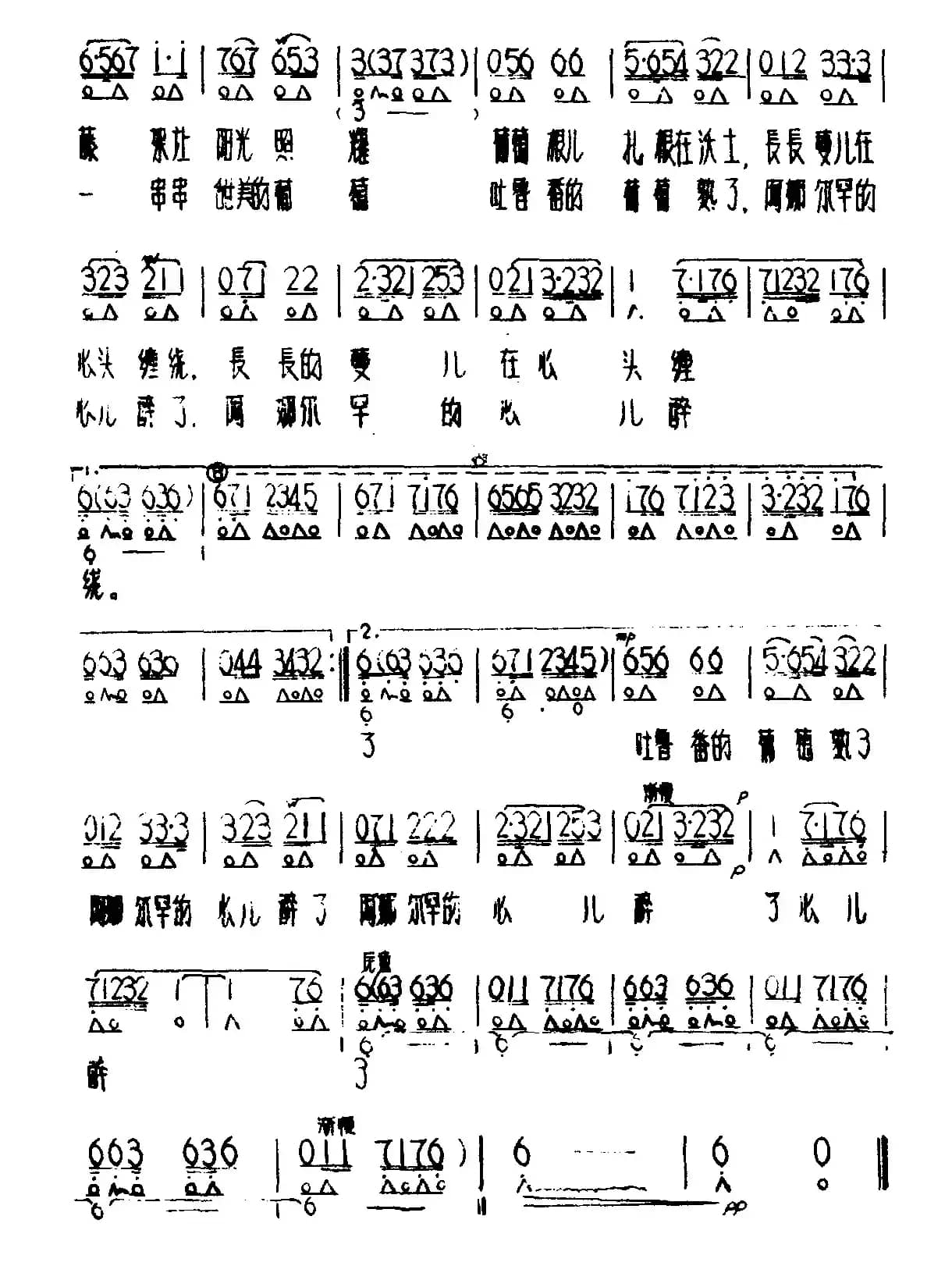 吐鲁番的葡萄熟了
