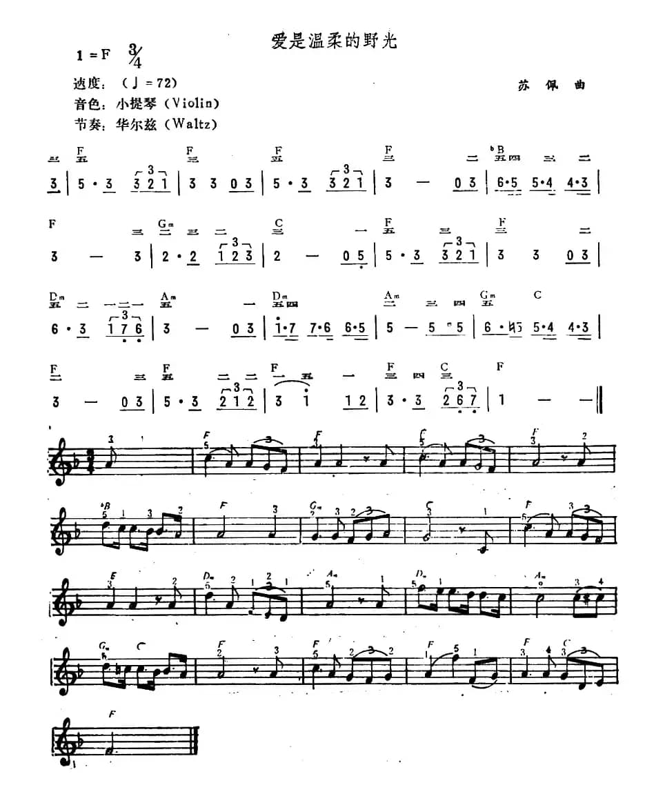 爱是温柔的野光