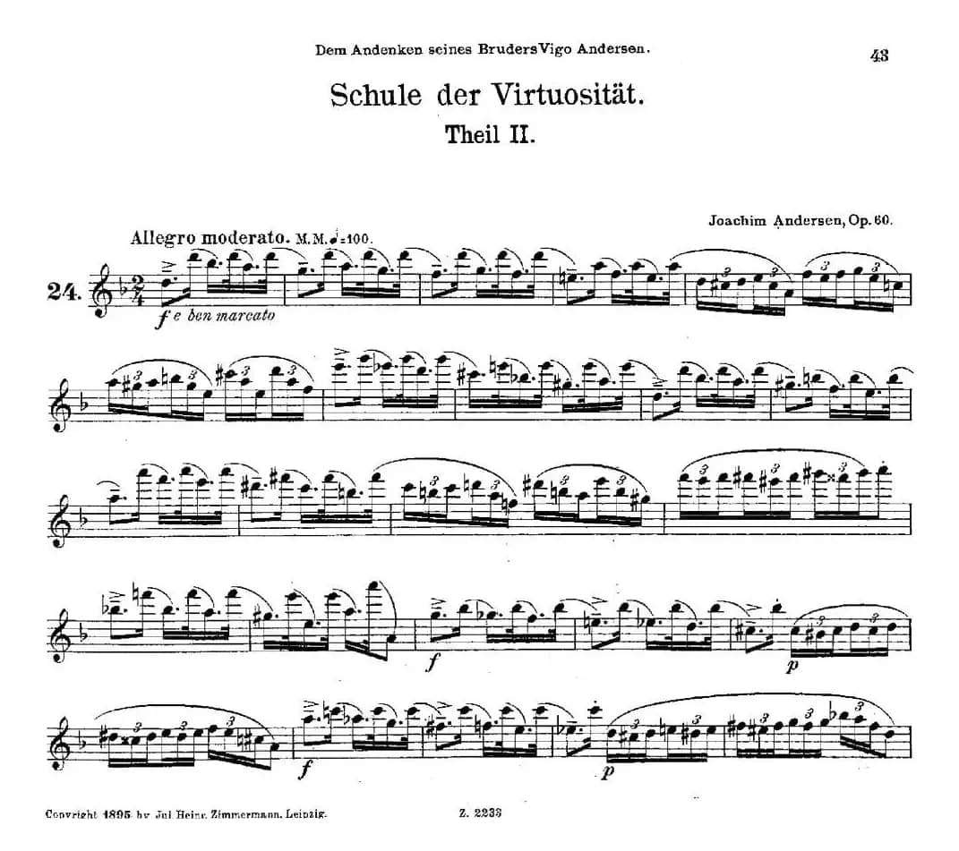 Schule der Virtuosität. Op. 60（24）