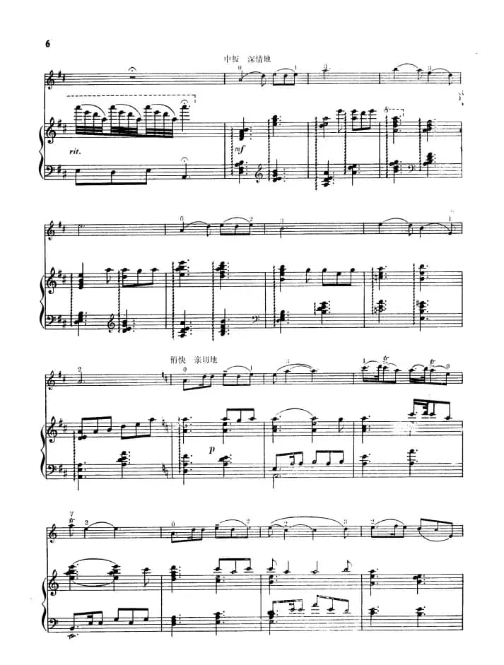 椰林迎春（小提琴+钢琴伴奏）