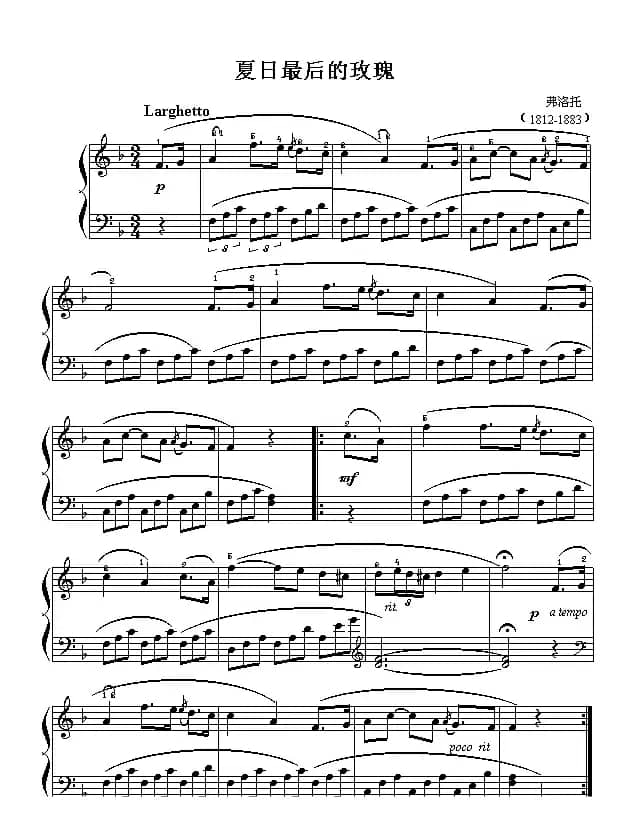 夏日最后的玫瑰