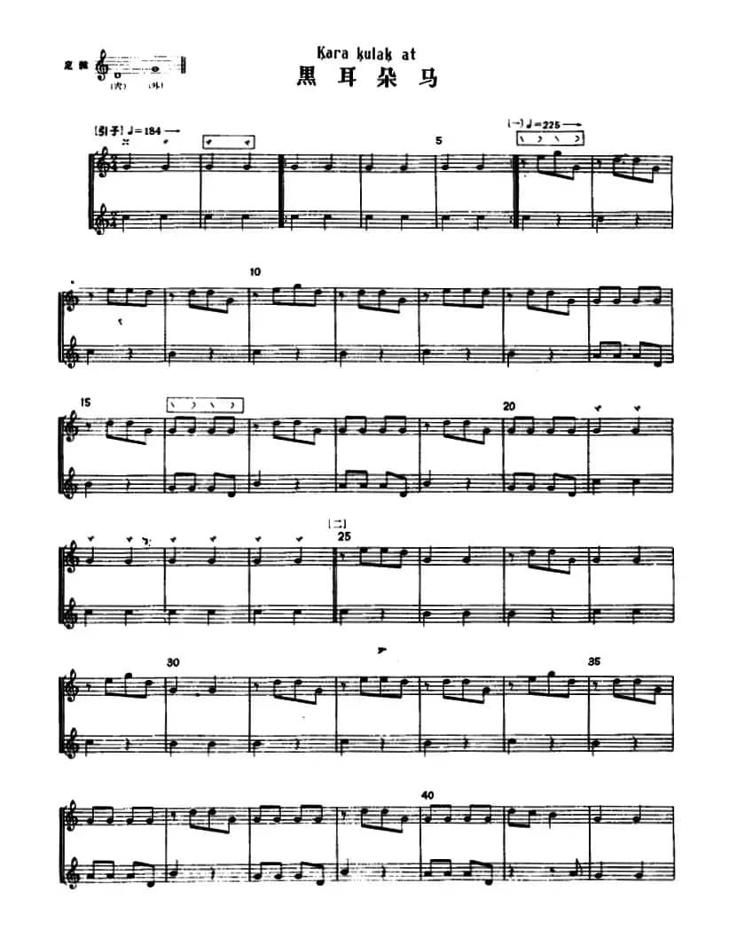 黑耳朵马（冬不拉）