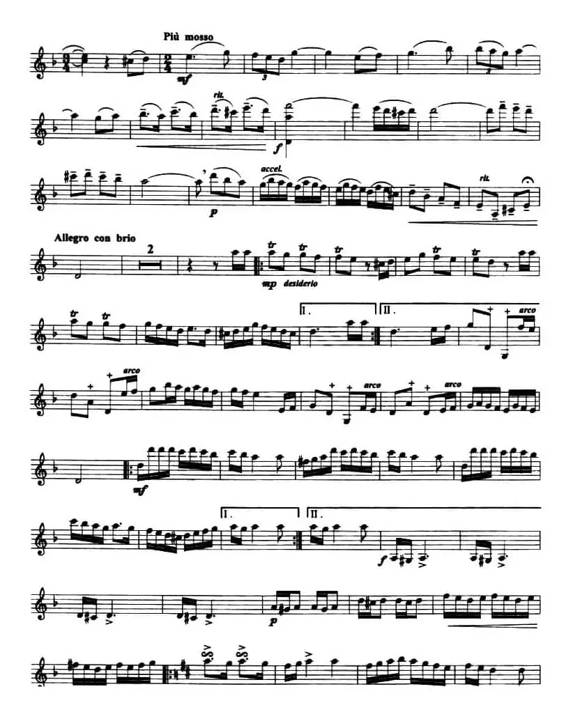 花儿为什么这样红