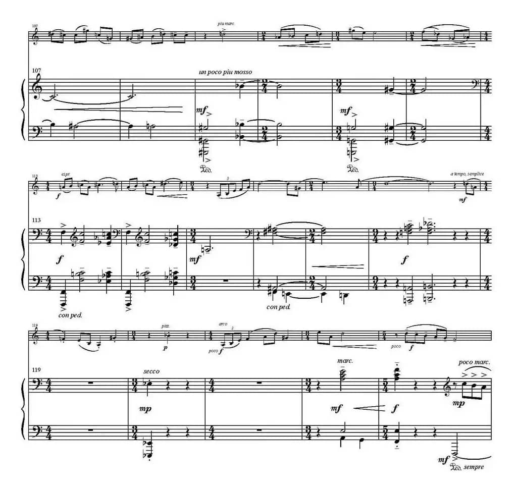 Sonata Poema aenigmaticum（小提琴+钢琴伴奏、1st movement）