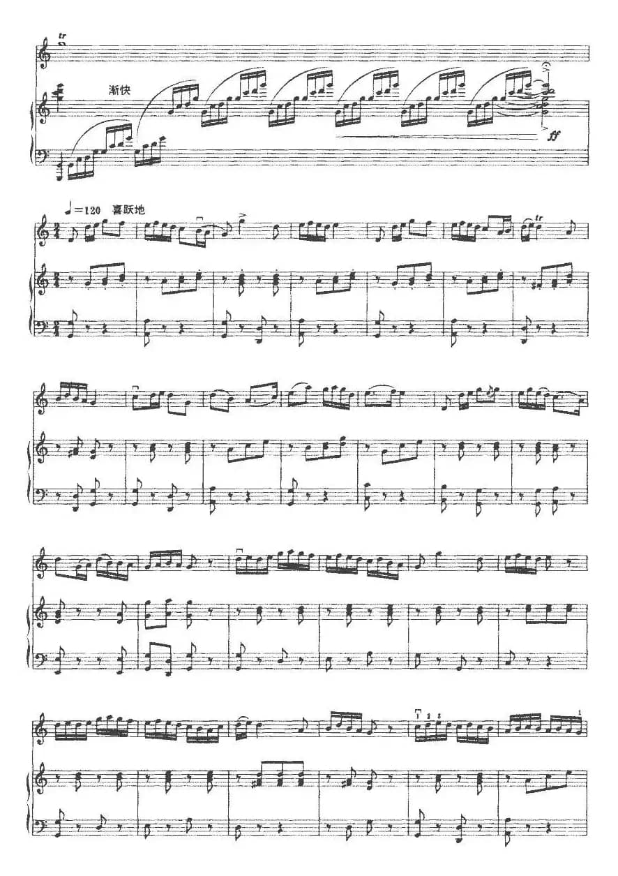 珠江情怀（二胡+钢琴伴奏）