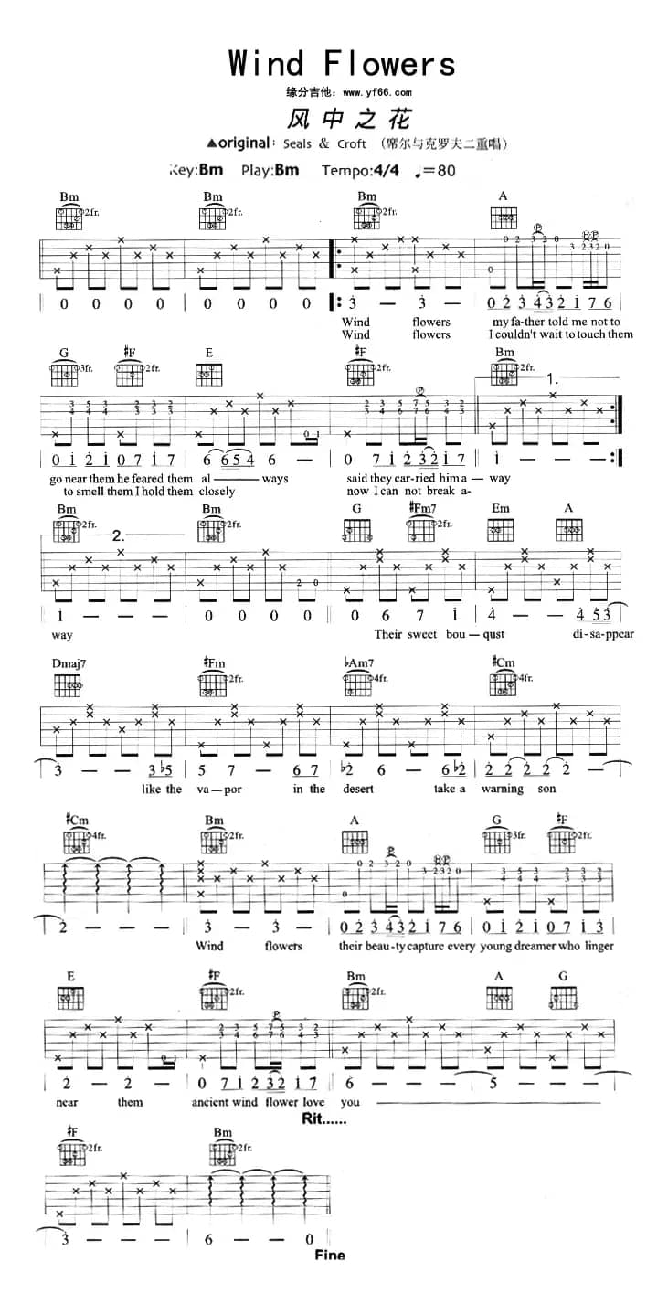 风中之花（Wind Flowers）