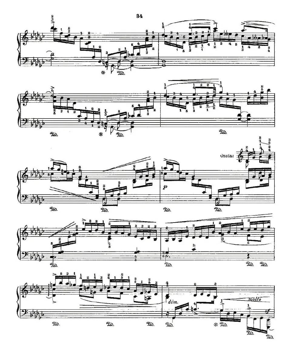 肖邦《练习曲》Fr.Chopin Op.10 No8-2