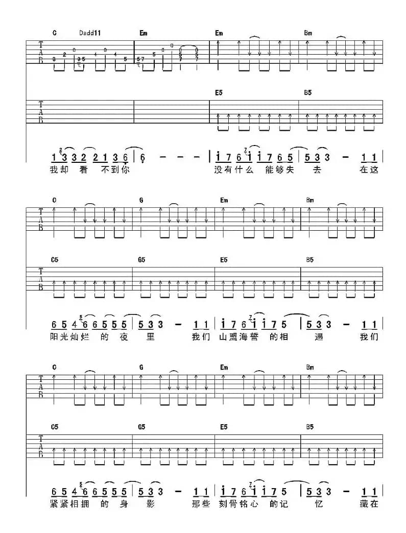 阳光灿烂的夜里