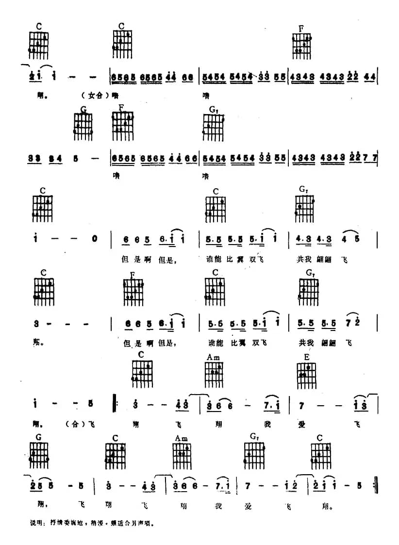 飞翔飞翔我飞翔（电子琴吉他弹唱谱）