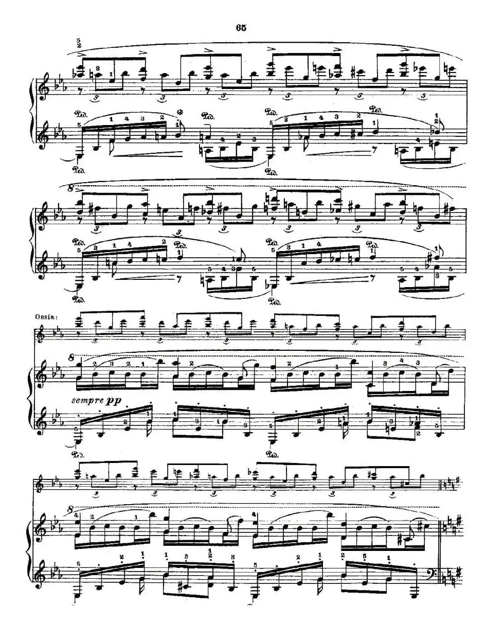 肖邦《练习曲》Fr.Chopin Op.10 No10-1