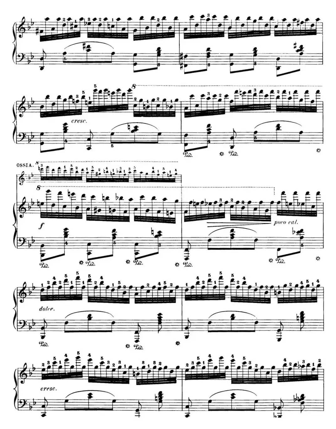 50首车尔尼Op.740钢琴手指灵巧技术练习曲（NO.19）