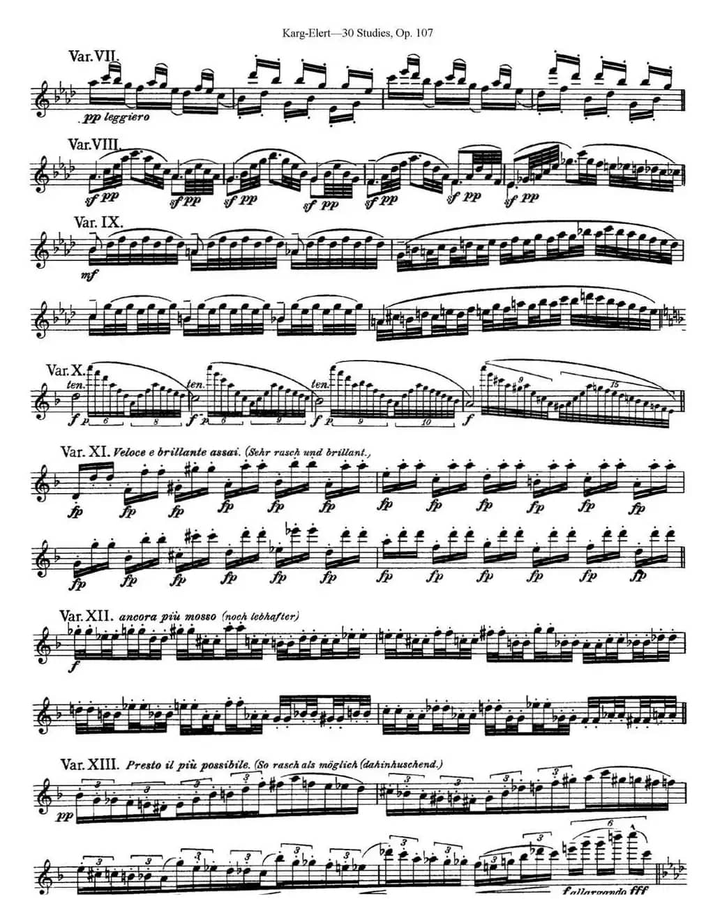 卡-伊勒特30首长笛练习曲Op.107（NO.28-NO.30）