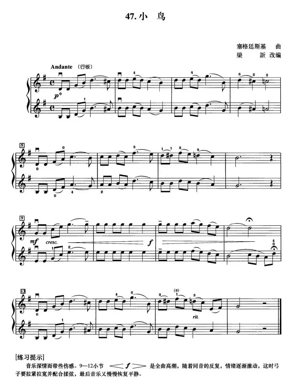 初级小提琴二重奏：小鸟