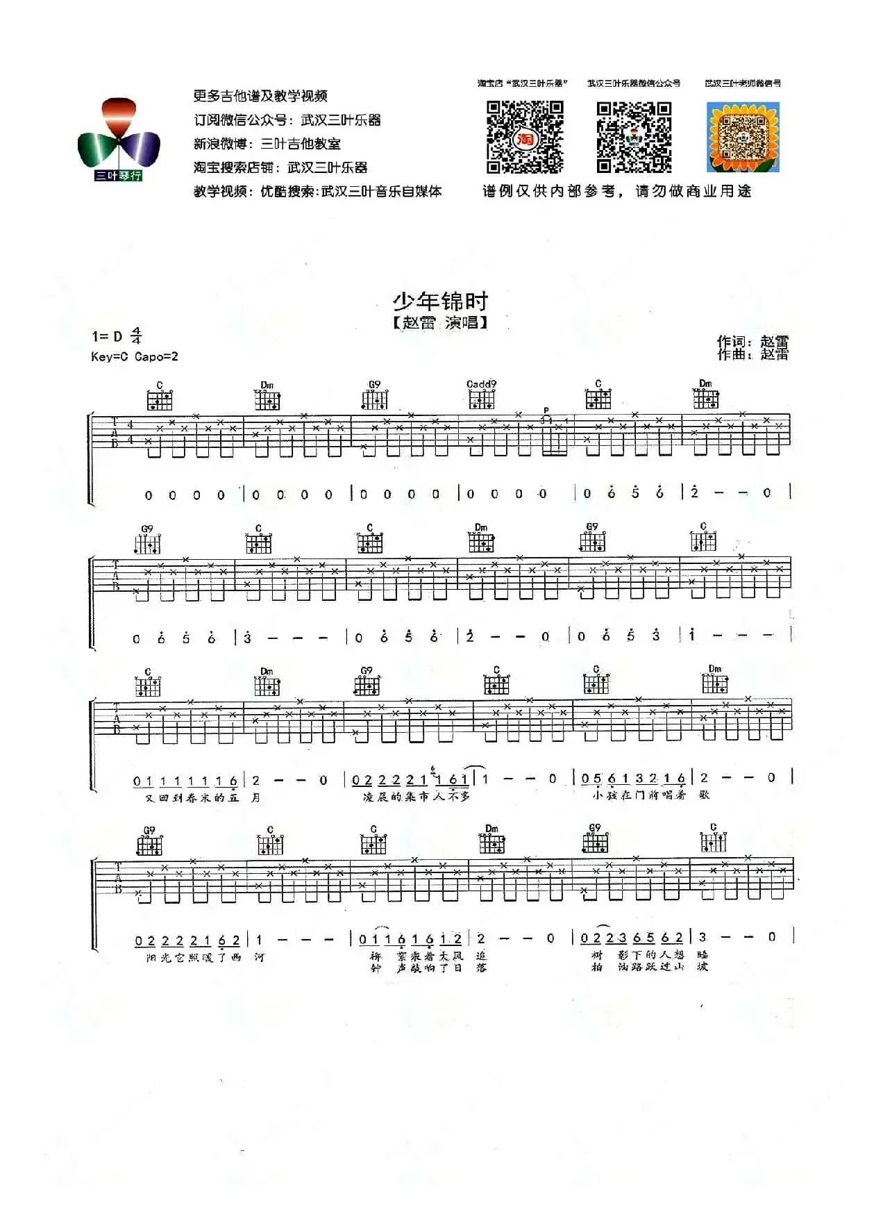 少年锦时（武汉三叶乐器编配版）