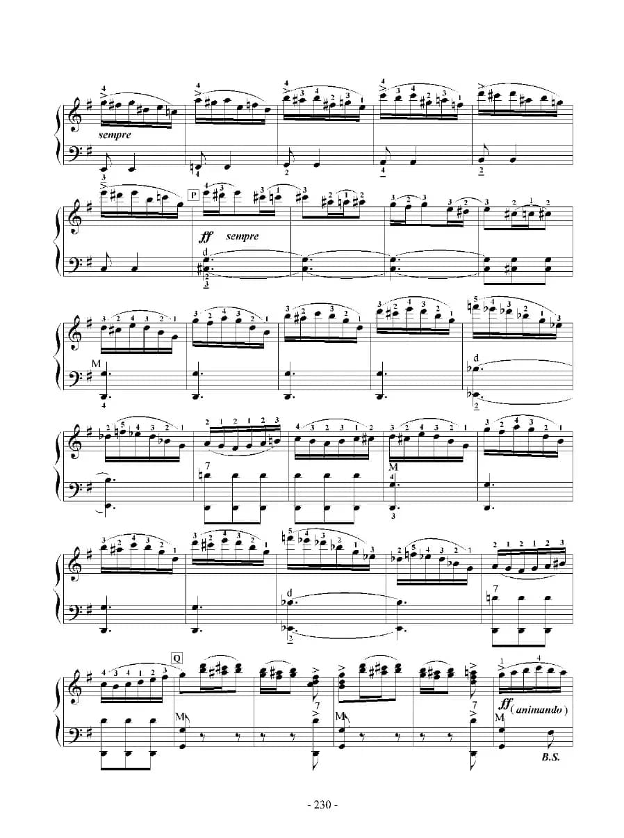 E大调协奏曲（九级练习曲）