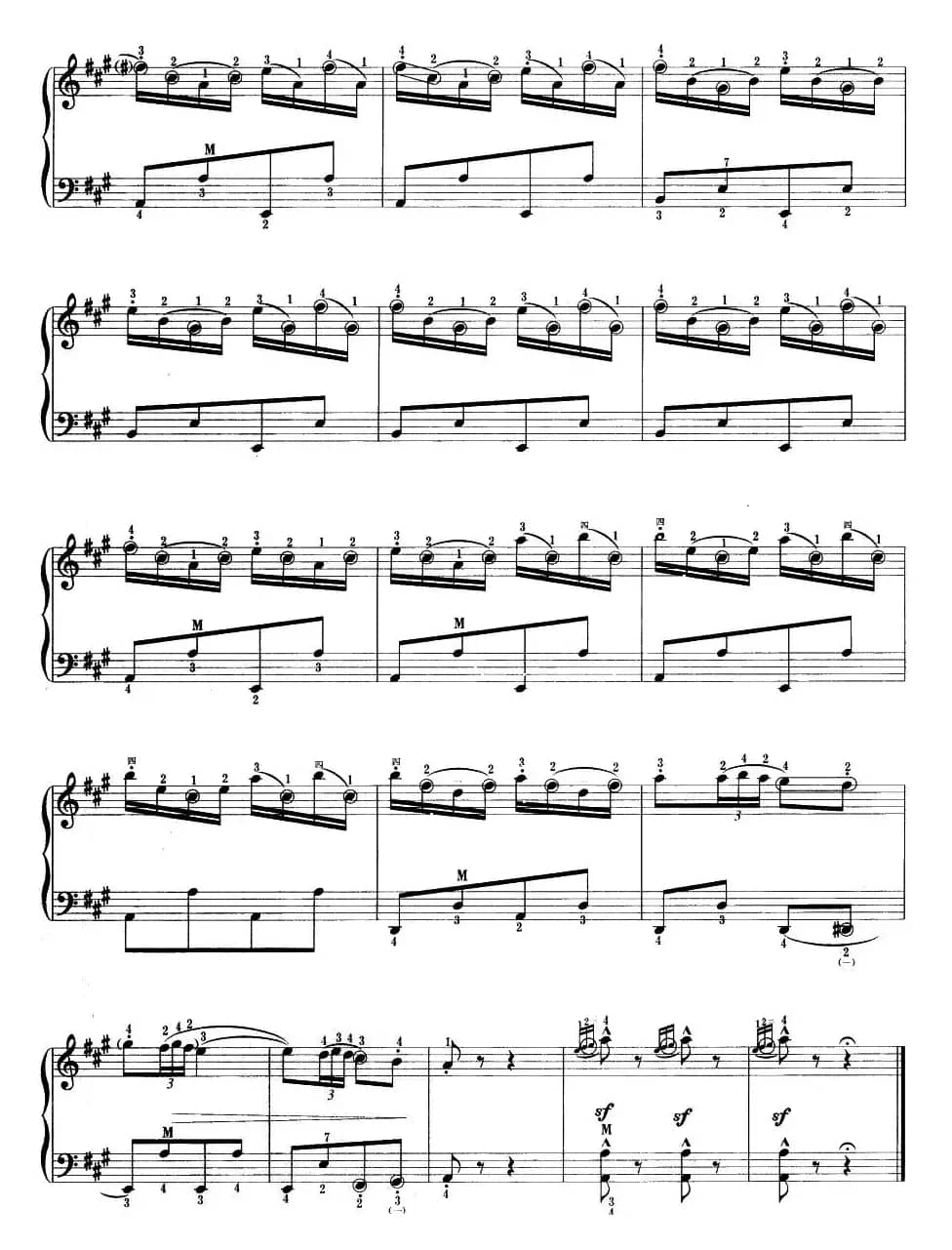 快乐的西班牙骑士