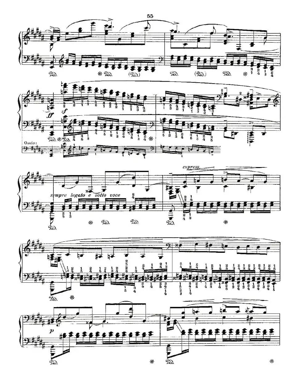 肖邦《练习曲》Fr.Chopin Op.25 No6