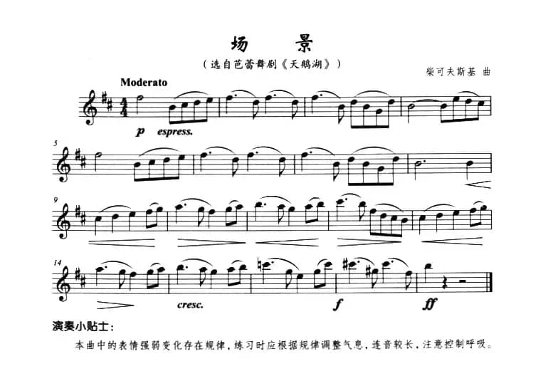 场景（选自《天鹅湖》）