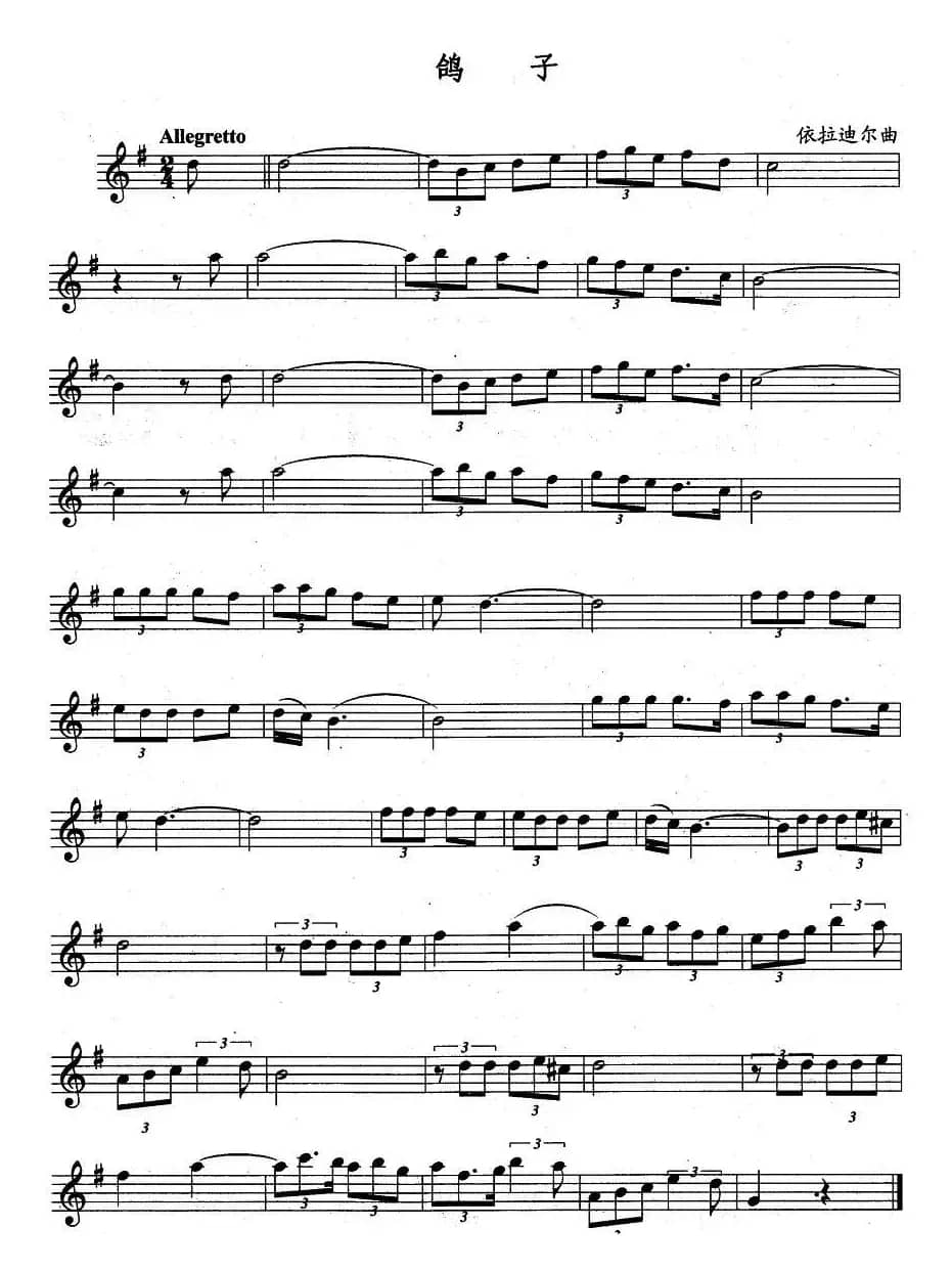 鸽子（版本二）