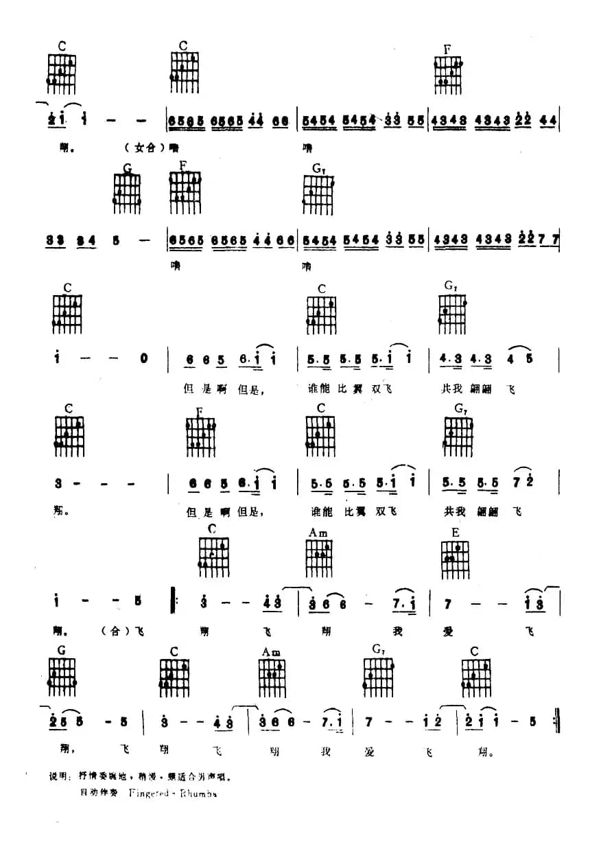 飞翔 飞翔 我飞翔（电子琴吉他弹唱谱）