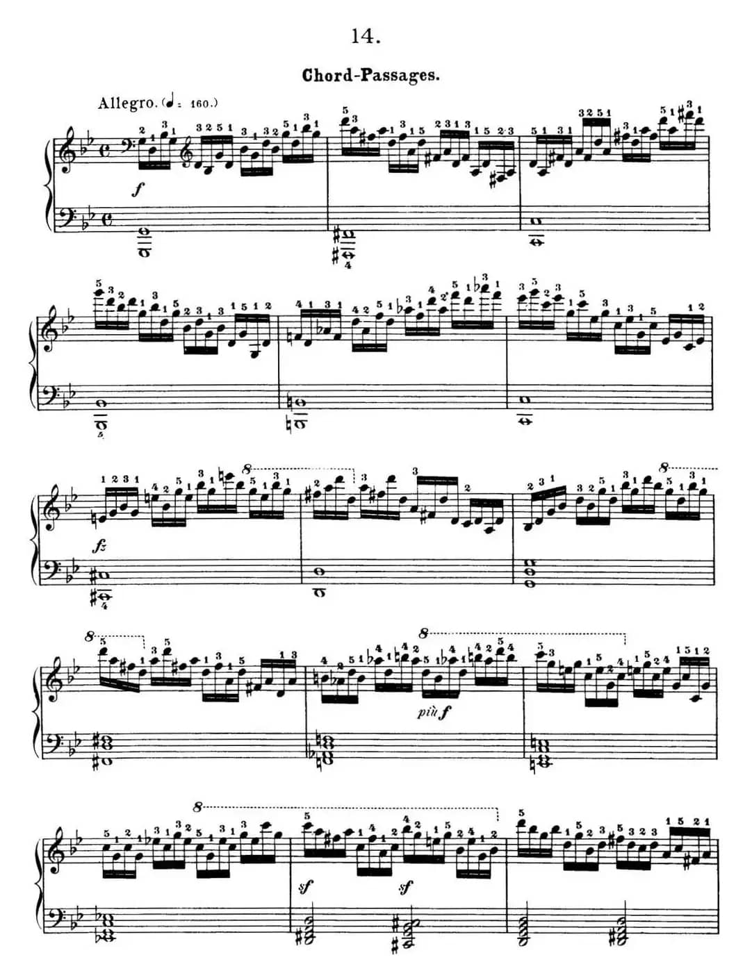 50首车尔尼Op.740钢琴手指灵巧技术练习曲（NO.14）