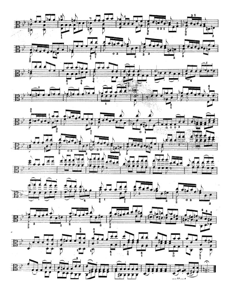 克莱采尔《中提琴练习曲40首》（ETUDE 39-40）