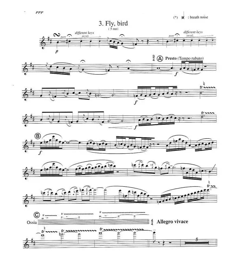 须川展也的《Fuzzy Bird Sonata》（Fly, Bird)毛绒鸟奏鸣曲之）