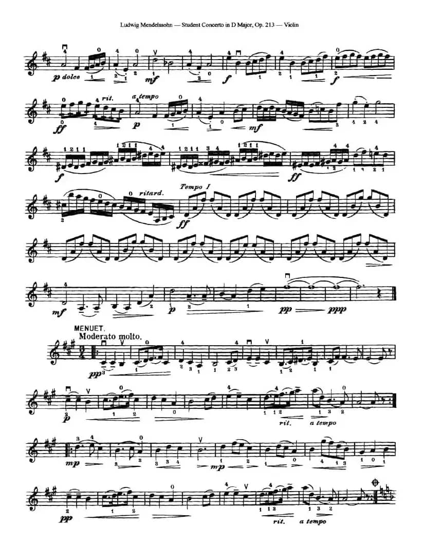 Student Concerto in D Major