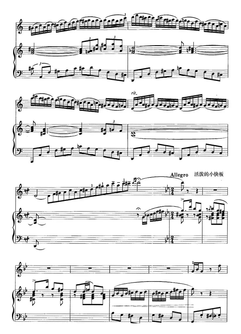 第二二胡狂想曲（二胡+钢琴伴奏）