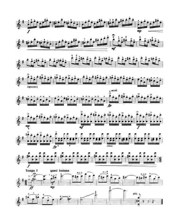 美丽的西双版纳